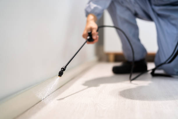 Licensed Fumigation Services service in Leisure Knoll, NJ - Nex Pest Control