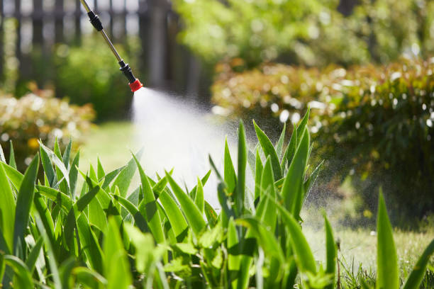 24/7 Emergency Fumigation Services experts in Leisure Knoll, NJ