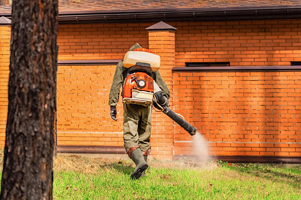 Trusted Rodent Control service in Leisure Knoll, NJ - Nex Pest Control